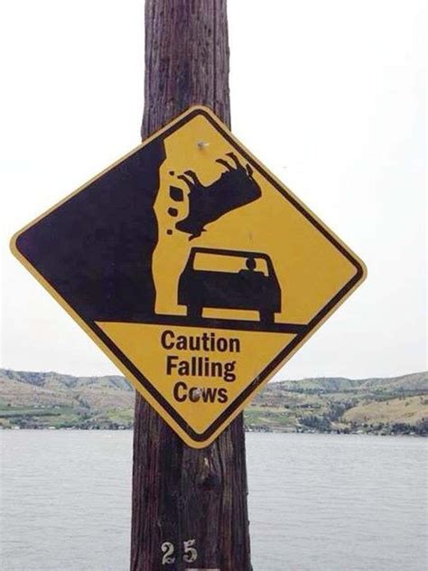 The 50+ Most Hilarious Signs | Funny road signs, Hilarious signs, Funny signs