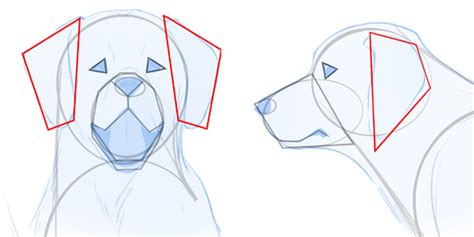 How To Draw A Dog Face And Body - Richeffective24