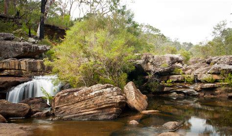 Dharawal National Park | NSW National Parks