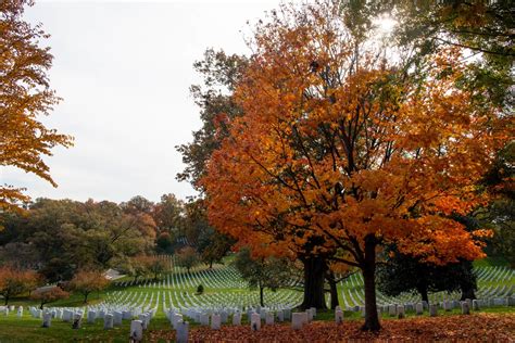 DVIDS - Images - Arlington National Cemetery Veterans Day events 2021 ...