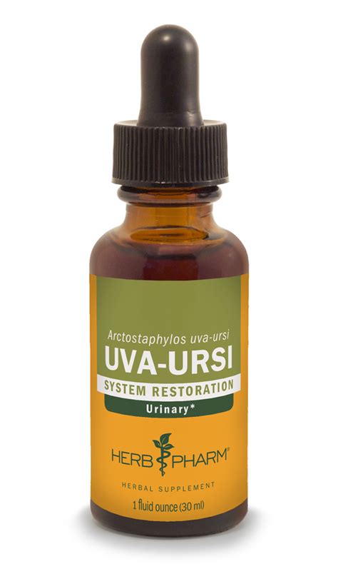 Uva Ursi, Liquid Extract - NEW - Botanical Extracts - New Beginnings ...