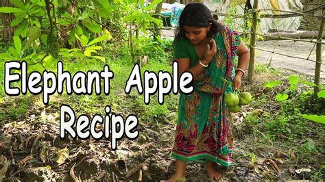 Elephant Apple Recipe - Amazing Fruit - YouTube