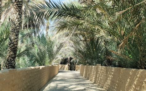 Al Ain - Planning a visit to the historic Oasis City of the UAE • Our ...