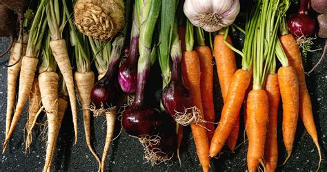 Plant These Cool-Season Crops for a Fall Harvest | Greenstreet Gardens