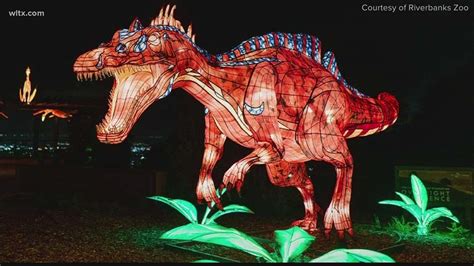 Riverbanks Zoo and Garden brings new Wild Lights experience to holiday ...