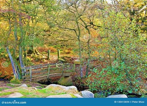 Bridge View in Padley Gorge, Grindleford, East Midlands. Stock Photo ...