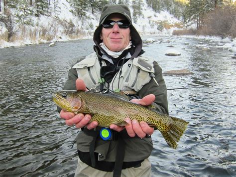 Fly Fishing in the Winter—10 Tips to Catch More Trout - Pat Dorsey Fly ...