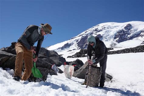 Summer Mystery: Glacier Ice Worms Rise Again In The Pacific Northwest : NPR