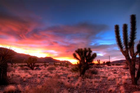 Nevada Desert Sunset | Desert Sunset | ESP:d | Desert sunset, Nevada ...