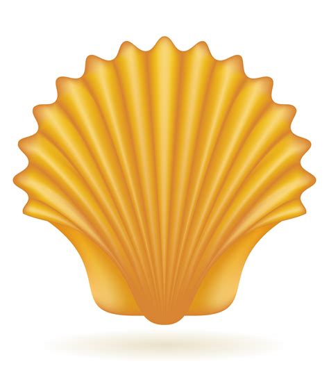 shell sea vector illustration 488403 Vector Art at Vecteezy