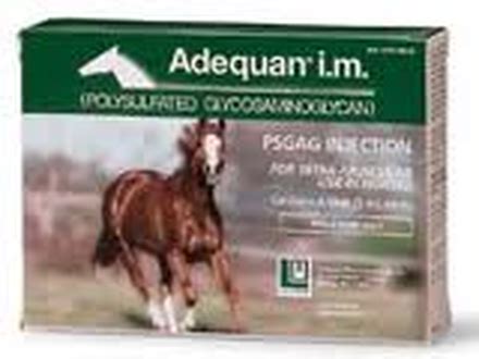 Adequan for Horses in Limited Supply for Next Few Months | EquiMed - Horse Health Matters