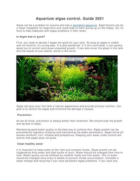 PPT - Aquarium algae control. Guide 2021 PowerPoint Presentation, free ...