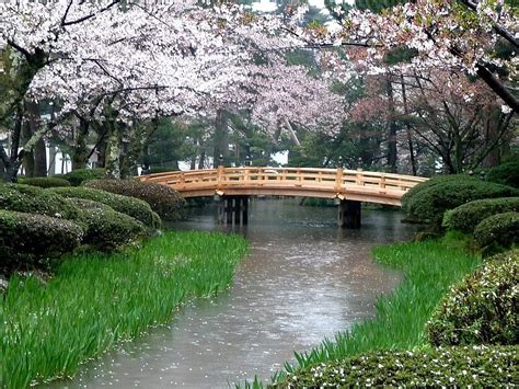 Other: Japanese Garden Sakura Cherry Blossom River Japan Bridge Full HD wallpaper | Pxfuel