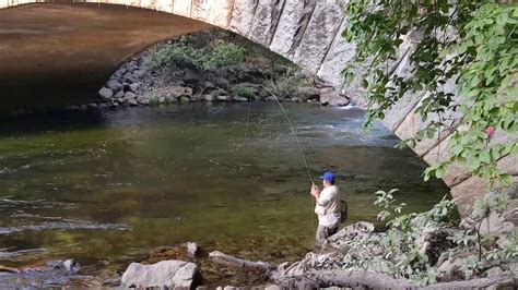 Fly fishing for trout in Yosemite on Merced River - YouTube