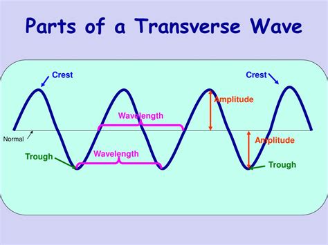 Diagram Parts Of A Wave