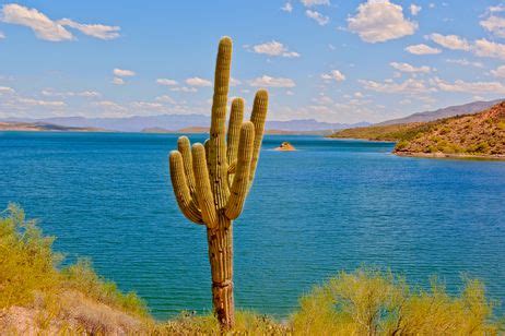 Saguaro Lake Recreation Near Phoenix, Arizona