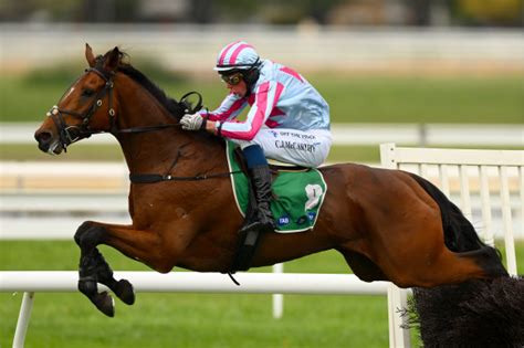 Warrnambool jumps racing carnival 2023: Ciaron Maher king of ...