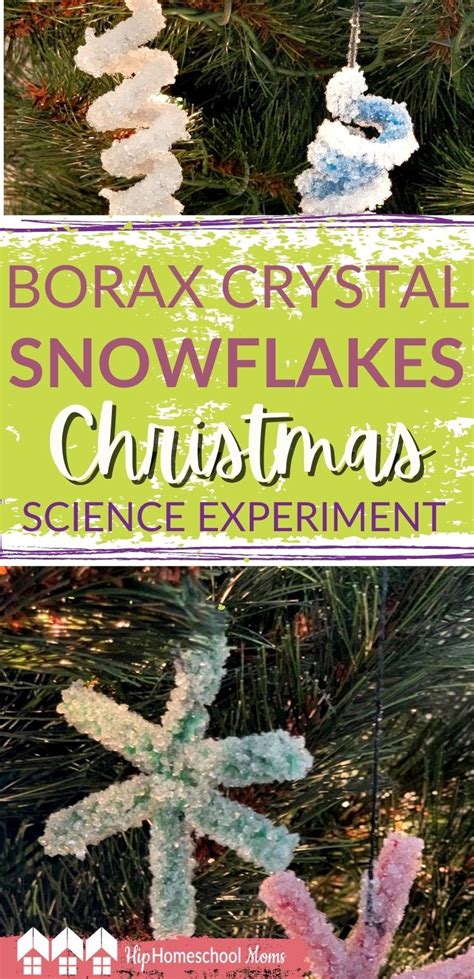 Make Crystal Snowflakes with Borax