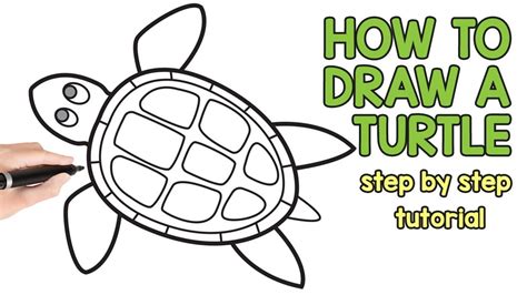 How to Draw a Turtle - Step by Step Drawing Tutorial - YouTube