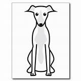 Whippet Coloring Pages sketch template