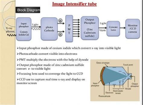 Pin on Rad Tech Diagrams & Study Tips