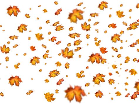 Fall Leaves Png Overlay For Photoshop (Nature-Grass-And-Foliage ...