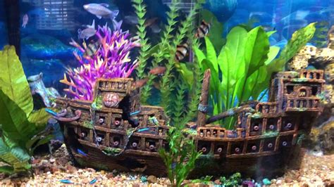 Phil's Pirate Ship Fish Tank Aquarium - YouTube