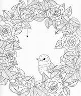 67 Nature Coloring Pages For Adults  Just Kids sketch template