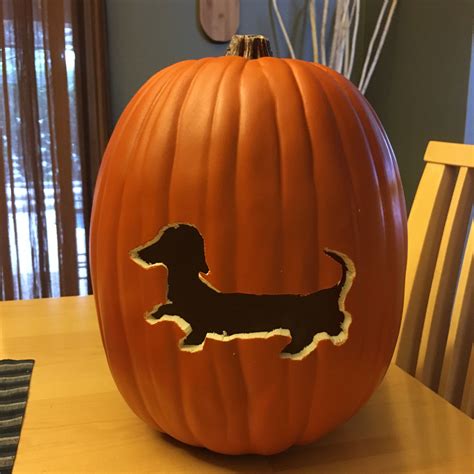 Pin by Catherine Campbell on •SEASONALS• | Dog pumpkin, Pumpkin carving ...