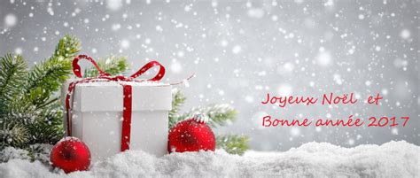 Joyeux noël et bonne année 2017! | Notre expérience en Micro-Immunothérapie