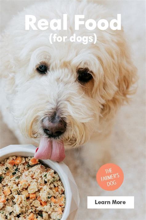 Fresh Human-Grade Dog Food Delivery | The Farmer’s Dog | Human grade dog food, Dog food recipes ...