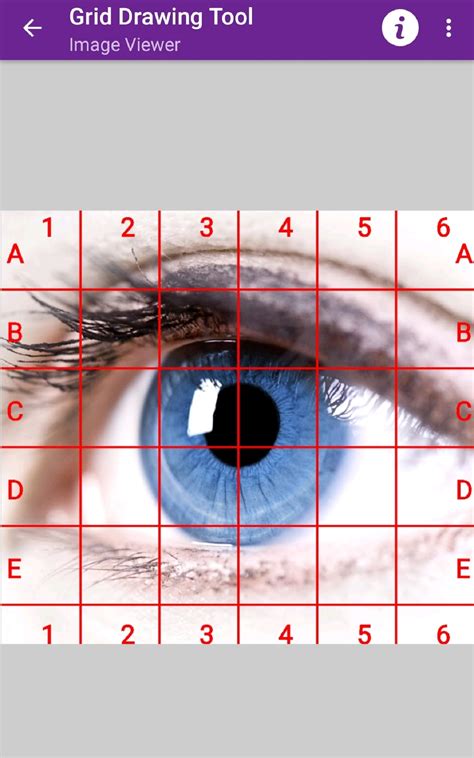Grid Drawing Tool - App on Amazon Appstore
