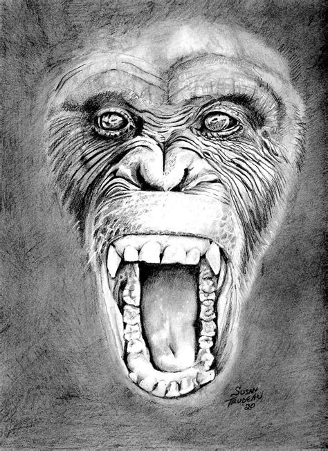 Realistic Monkey Drawing