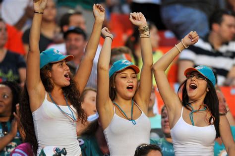 Miami Dolphins Fans Love Using Cell Phones At The Games