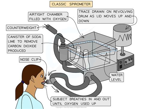 IB DP Biology: SL复习笔记6.4.4 Skills: Monitoring Ventilation-翰林国际教育