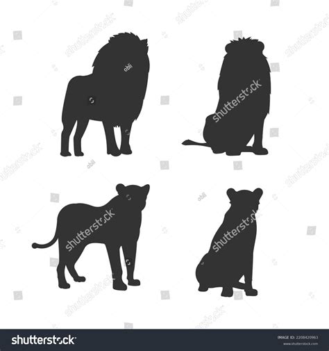 Silhouette Various Kinds Male Female Lion: เวกเตอร์สต็อก (ปลอดค่า ...