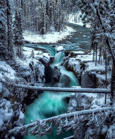 Sunwapta Falls | Winter landscape, Scenery, Snow forest