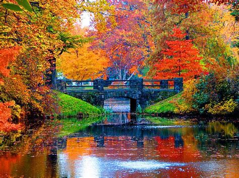 Autumn In Boston by Marie Jamieson | Boston in the fall, Autumn scenery ...