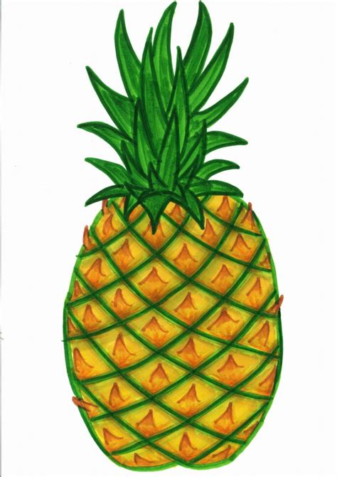 Pineapple clip art free free clipart images – Clipartix