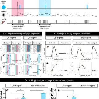 Results of the Pavlovian conditioning training. (A) Schematic ...