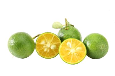 29+ Calamansi Png Transparent - Tong Kosong