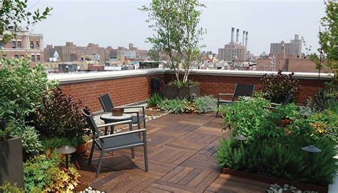 New Age | Rooftop gardening: possibilities and challenges