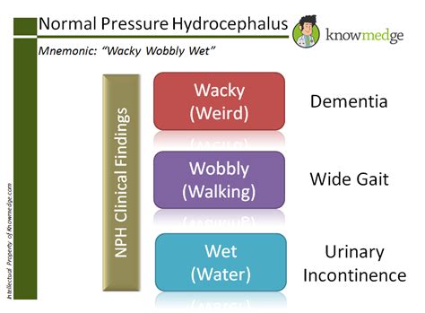 Medical Mnemonics: Normal Pressure Hydrocephalus : USMLE / Internal ...