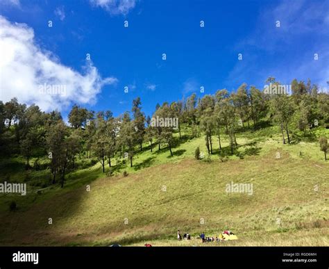 Mount Semeru Hiking Stock Photo - Alamy