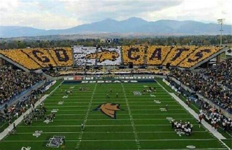 MSU Bobcats | Montana state university, Montana state, Bozeman montana