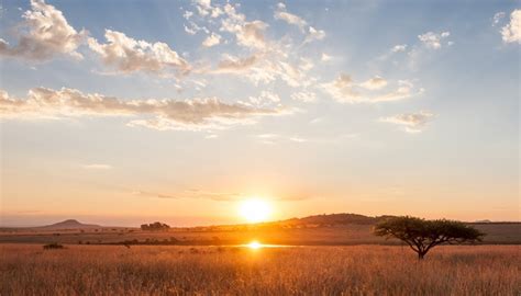 Dangers to the Savanna Ecosystem | Sciencing