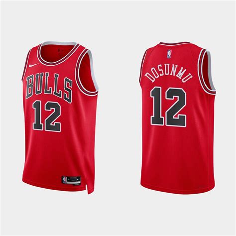 Chicago Bulls #12 Ayo Dosunmu 2022-23 Icon Edition Red Jersey – Choose ...