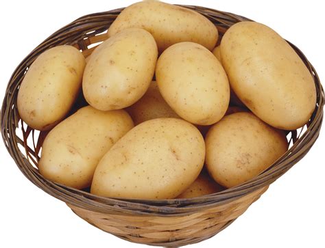 Potato Png Images Pictures Download Transparent HQ PNG Download | FreePNGimg