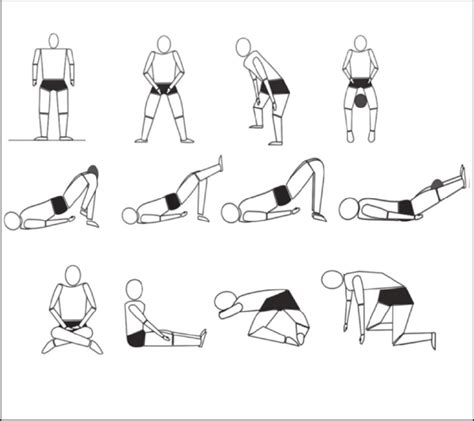 Pelvic Floor Muscle Training Exercises | Viewfloor.co