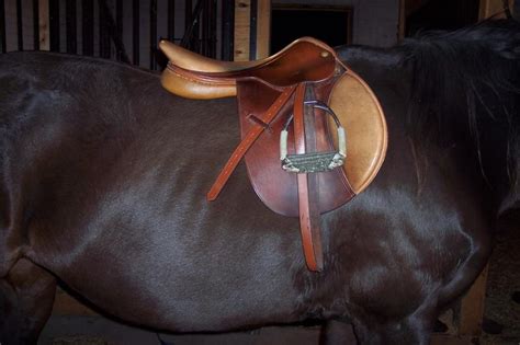 Saddle fit questions (with pics) | The Horse Forum